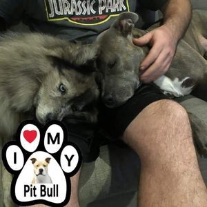 Meet your Posher, Randy